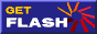 Download Flash Player